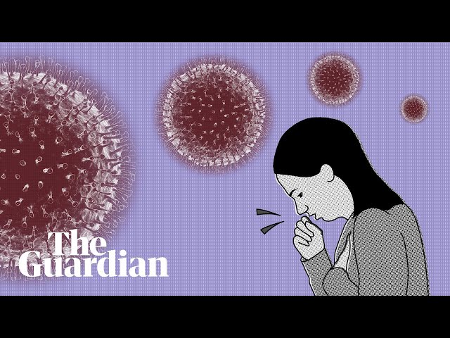 What To Know About The Deadly Corona Virus(COVID-19) 1