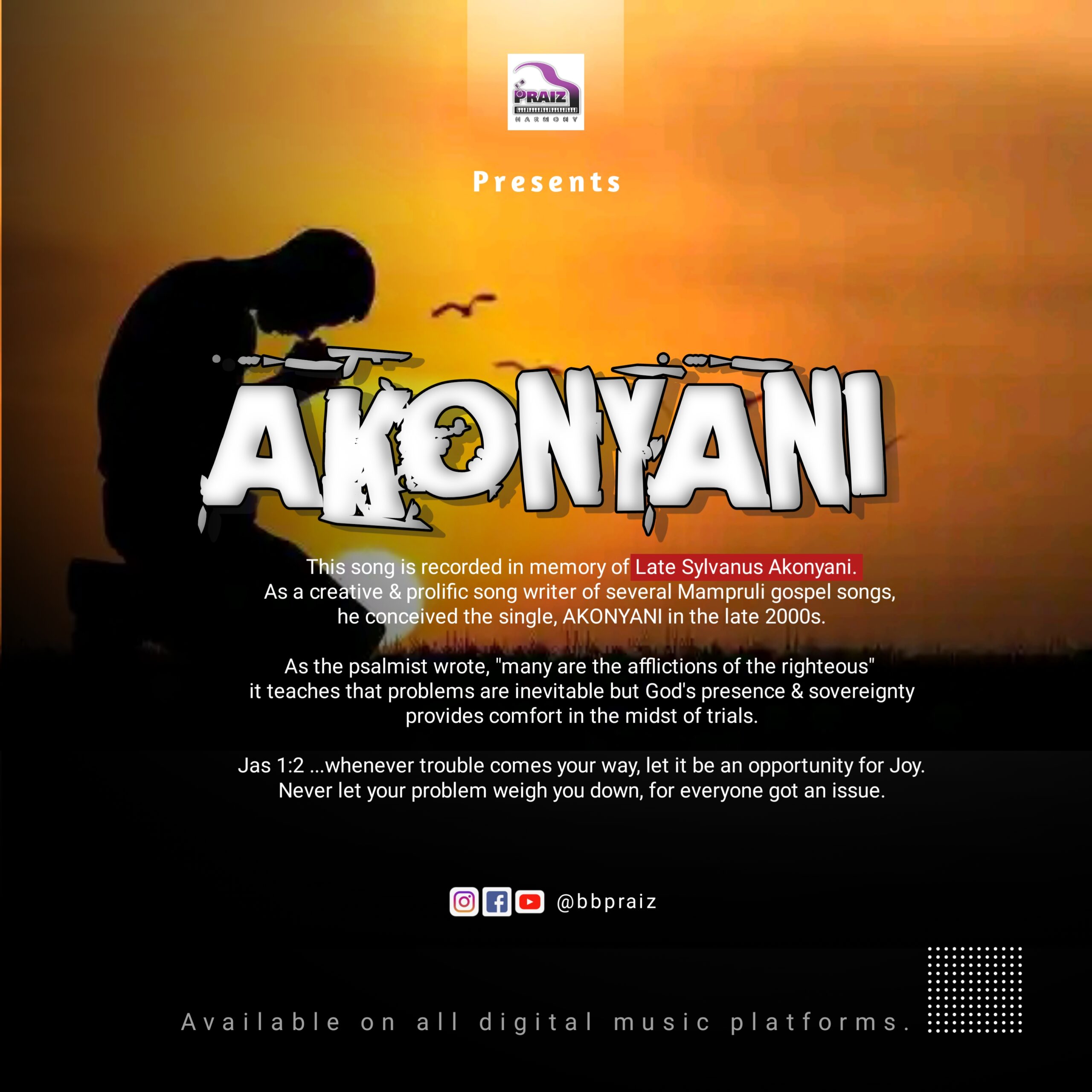 BBpraiz - Akonyani 1 BBpraiz - Akonyani